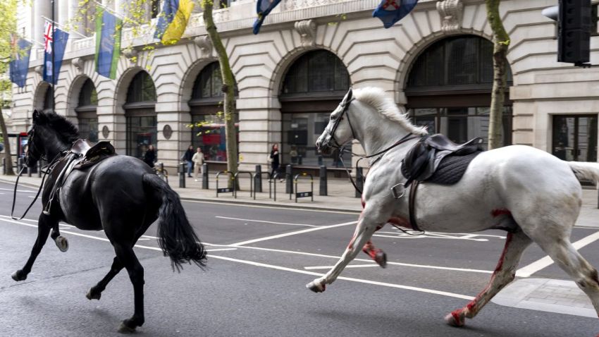 Άλογα εθεάθησαν να καλπάζουν ελεύθερα στο κέντρο του Λονδίνου